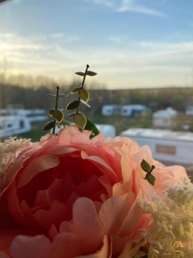 Nm Residence Shkorpilovtsi Dış mekan fotoğraf
